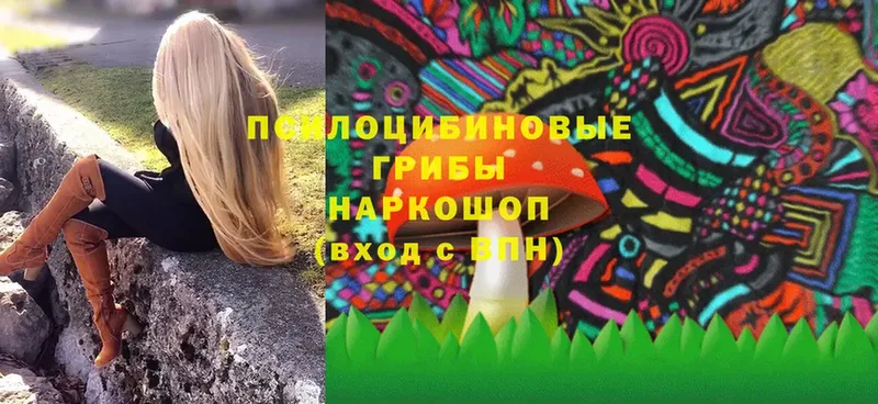 Псилоцибиновые грибы Magic Shrooms  Николаевск-на-Амуре 